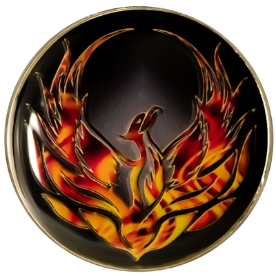 DSP-PHOENIX-BLACK-2T.jpg